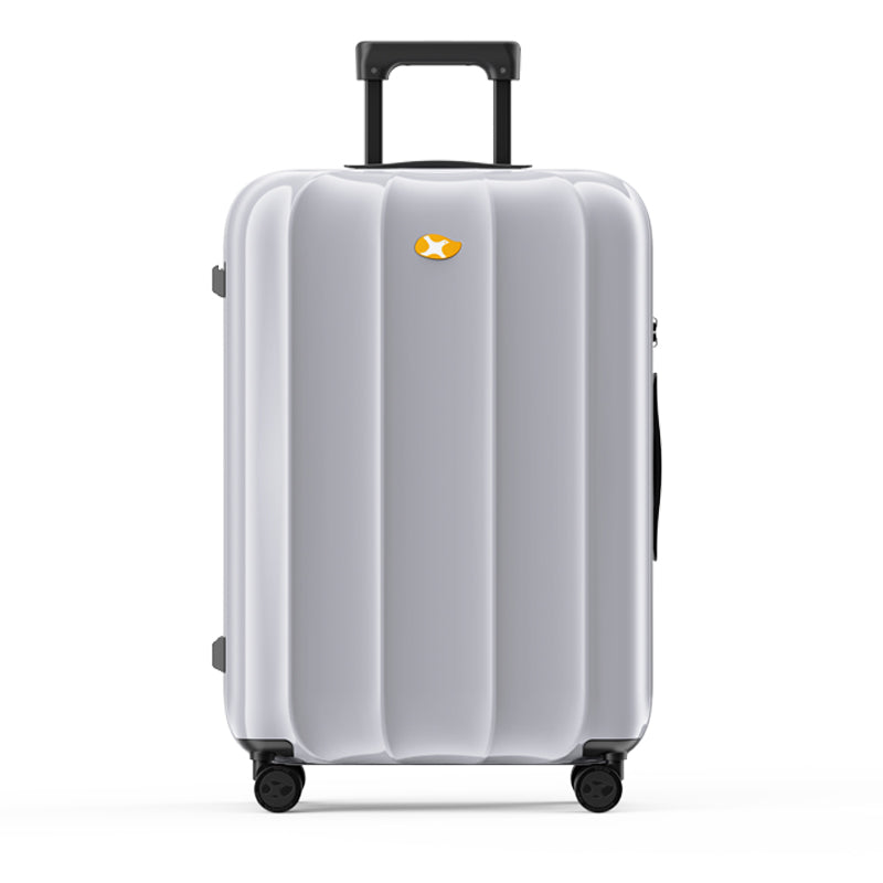 VoyageX 28 inch Check-In Luggage – Silver